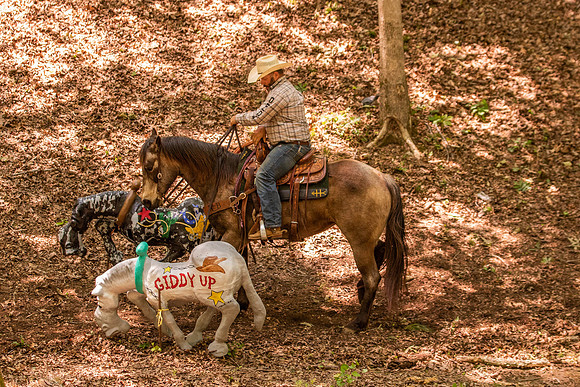 HodgesRace-6154