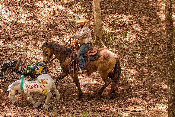 HodgesRace-6155