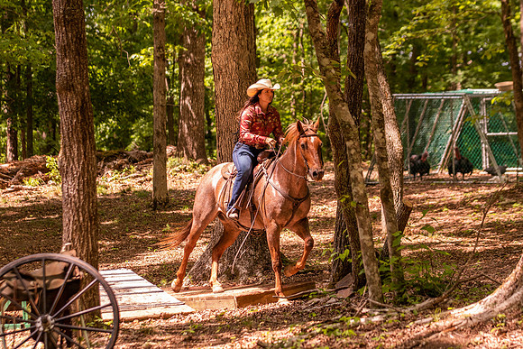 HodgesRace-6262