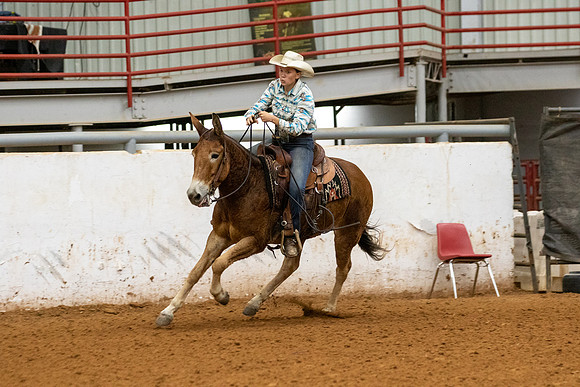 Mule&FuturityR2-19