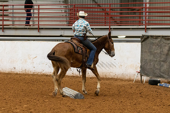 Mule&FuturityR2-2