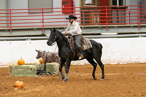 InternationalR1-93